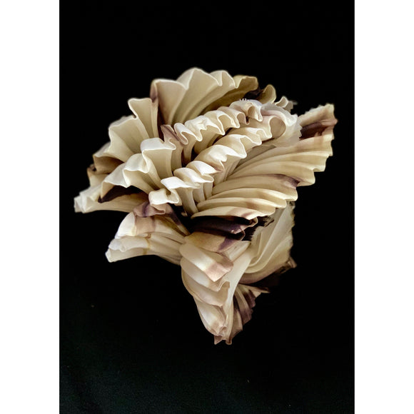 Variegated White/Brown Twisted Object
